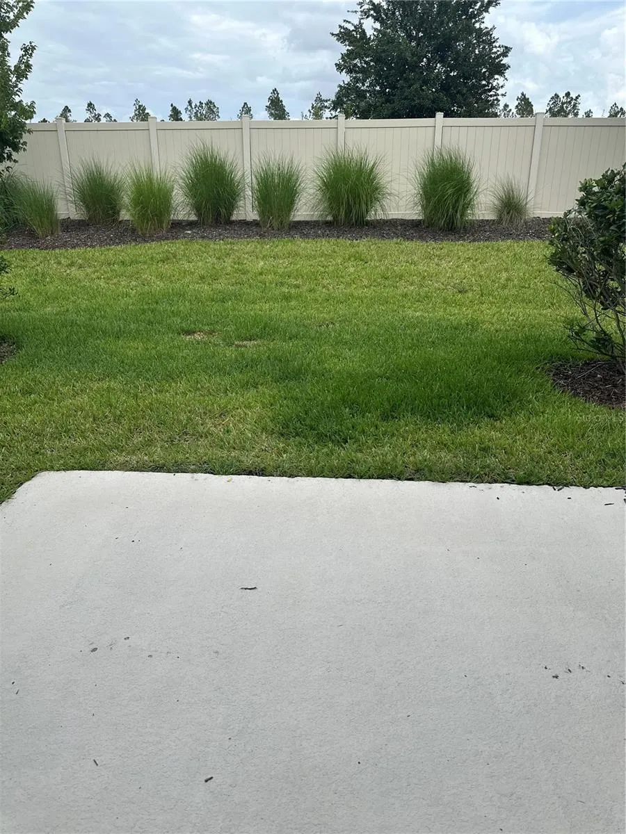 2358 PARAVANE WAY Wesley Chapel, FL 33543
