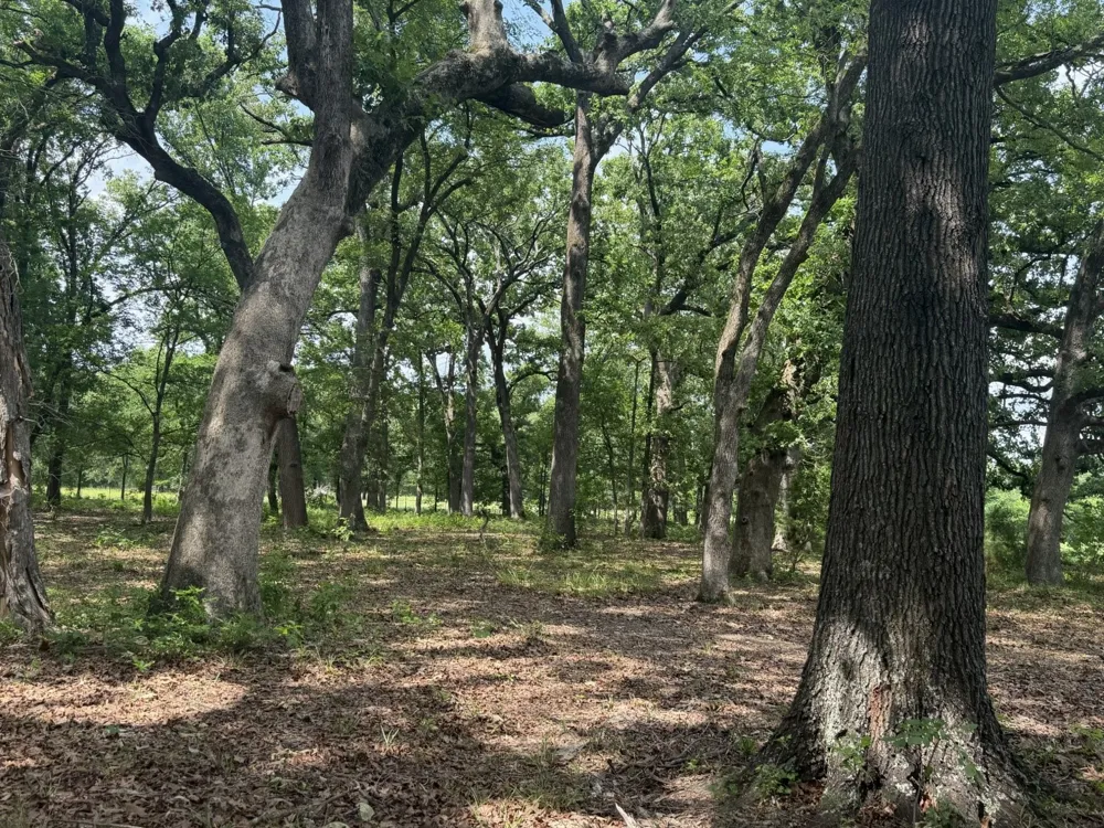 276 Fm 71 Mt Pleasant, TX 75455