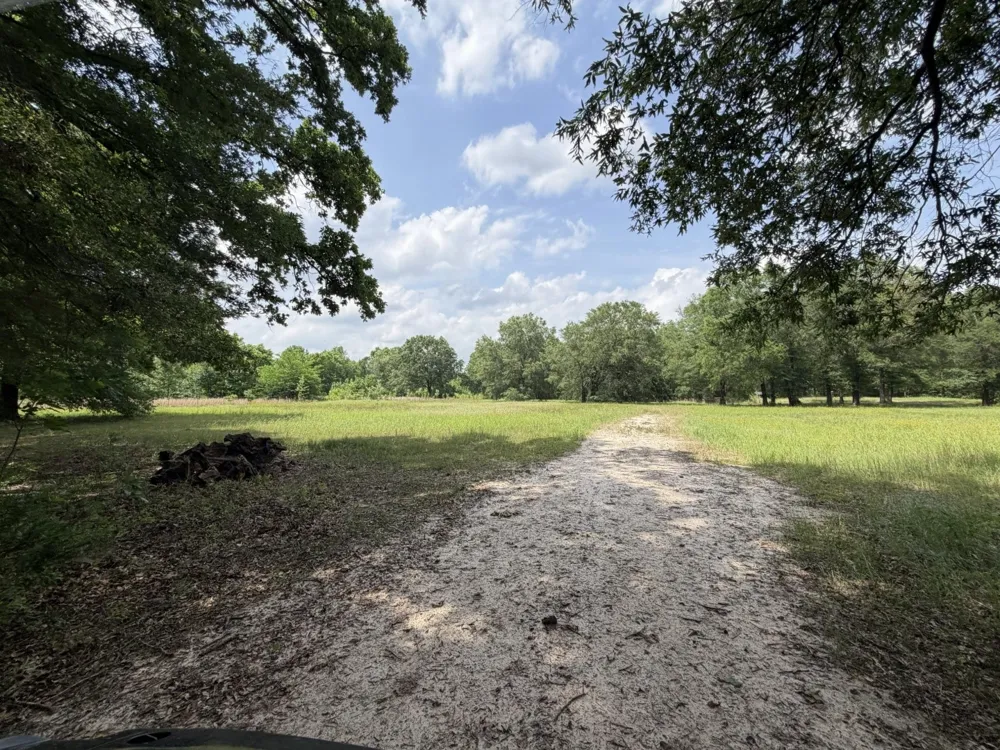 276 Fm 71 Mt Pleasant, TX 75455