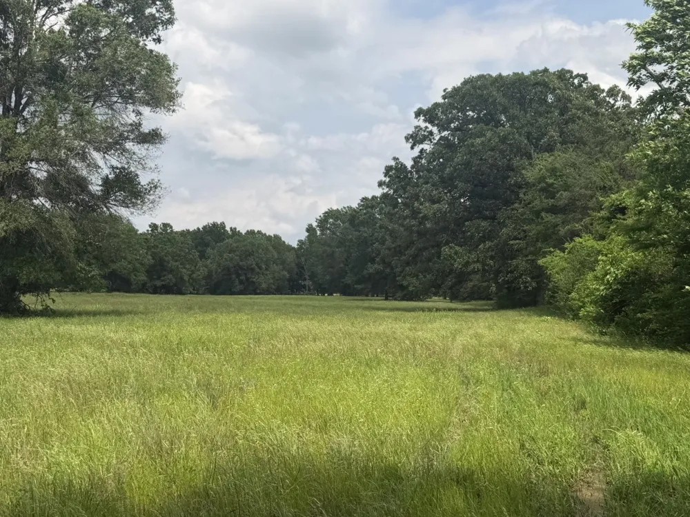 276 Fm 71 Mt Pleasant, TX 75455