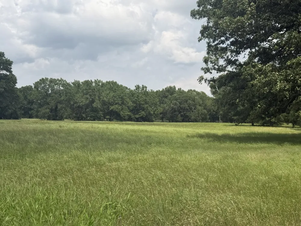 276 Fm 71 Mt Pleasant, TX 75455