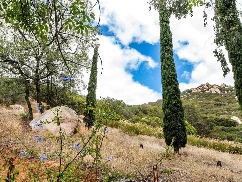 17566 LYONS VALLEY ROAD Jamul, CA 91935