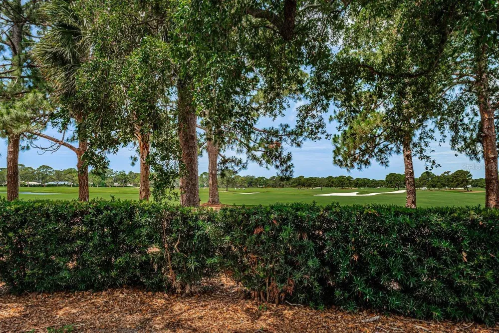 1704 CYPRESS AVENUE Belleair, FL 33756