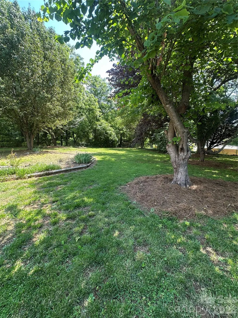1407 College Avenue Newton, NC 28658