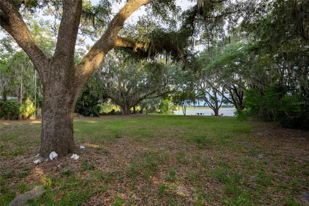 1847 STATE ROAD 20 Hawthorne, FL 32640