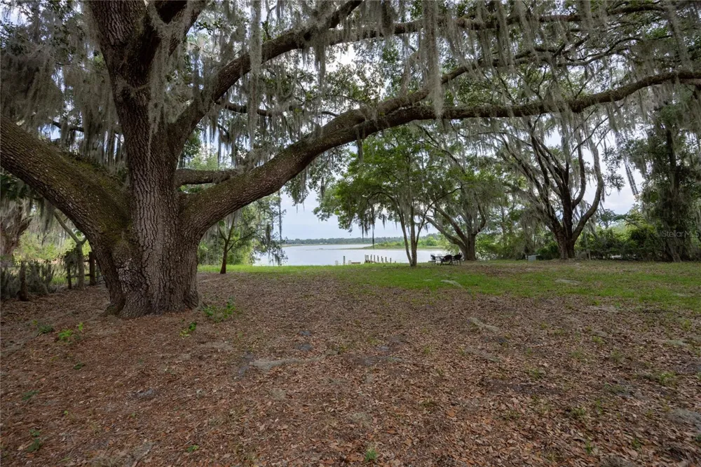1847 STATE ROAD 20 Hawthorne, FL 32640