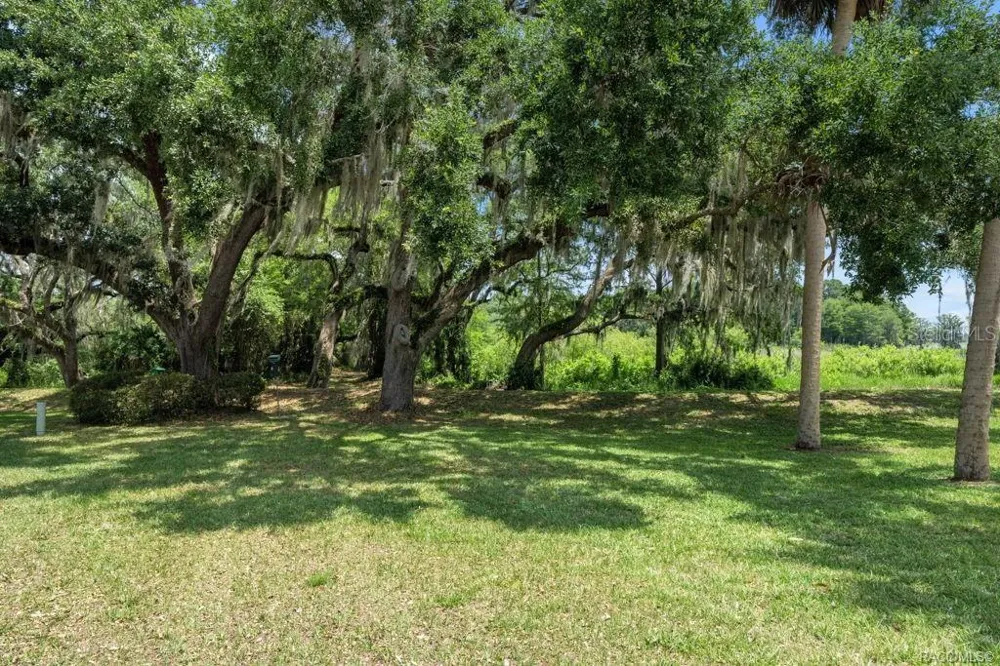 1304 SIESTA TERRACE #1304 Inverness, FL 34450