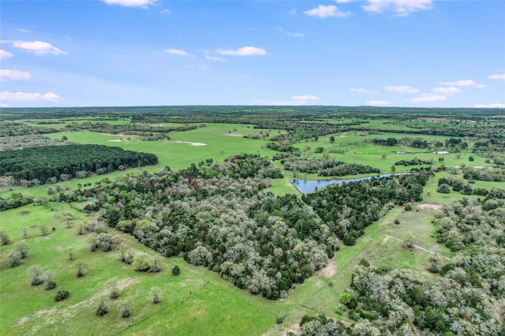 363 Paint Creek South Road #A Paige, TX 78659