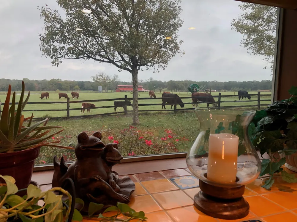 363 Paint Creek South Road #A Paige, TX 78659