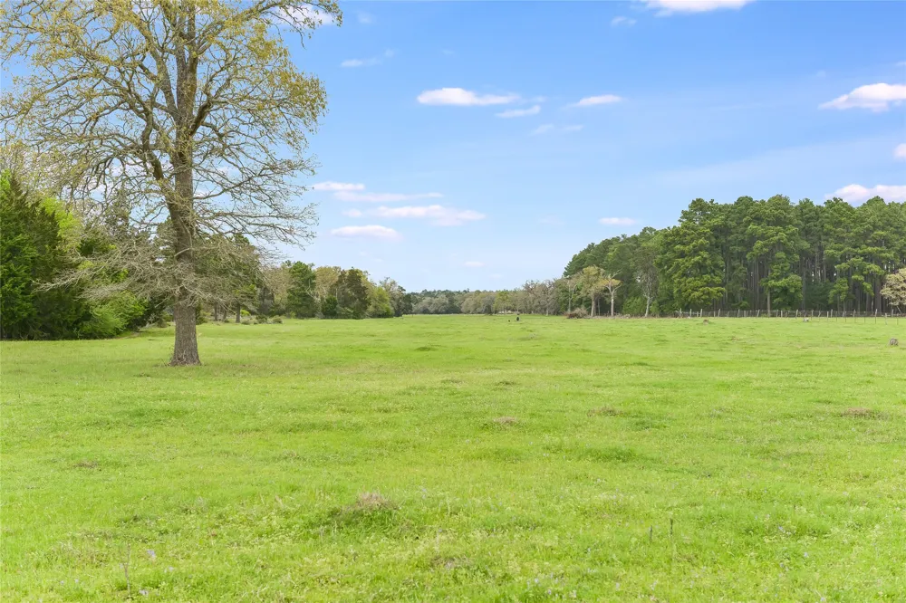 363 Paint Creek South Road #A Paige, TX 78659