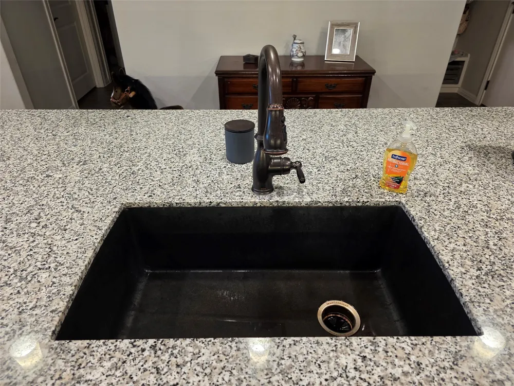 461 Grace Lilly Drive Buda, TX 78610