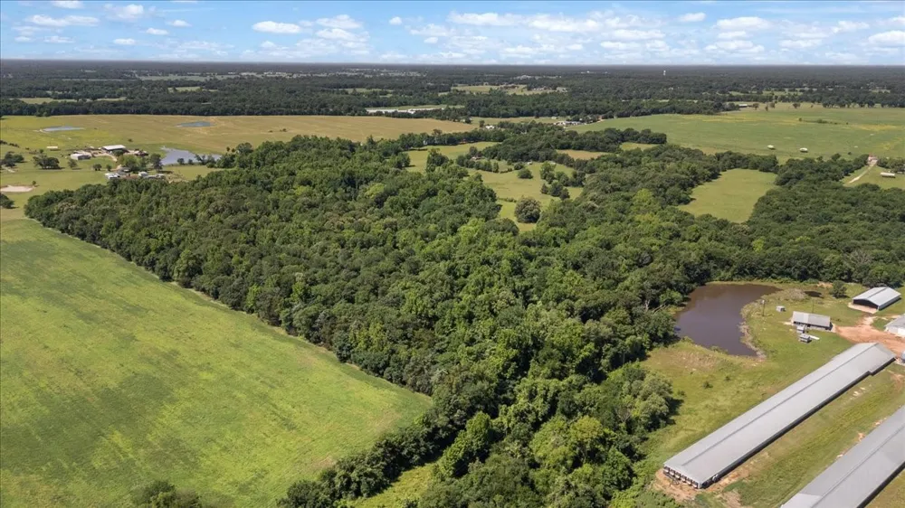 279 County Road 2395 Winnsboro, TX 75494