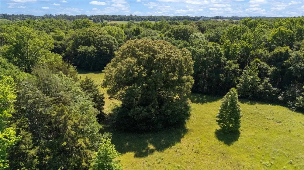 279 County Road 2395 Winnsboro, TX 75494