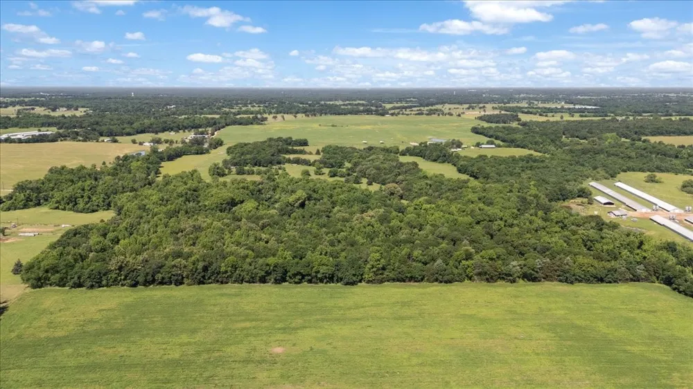 279 County Road 2395 Winnsboro, TX 75494