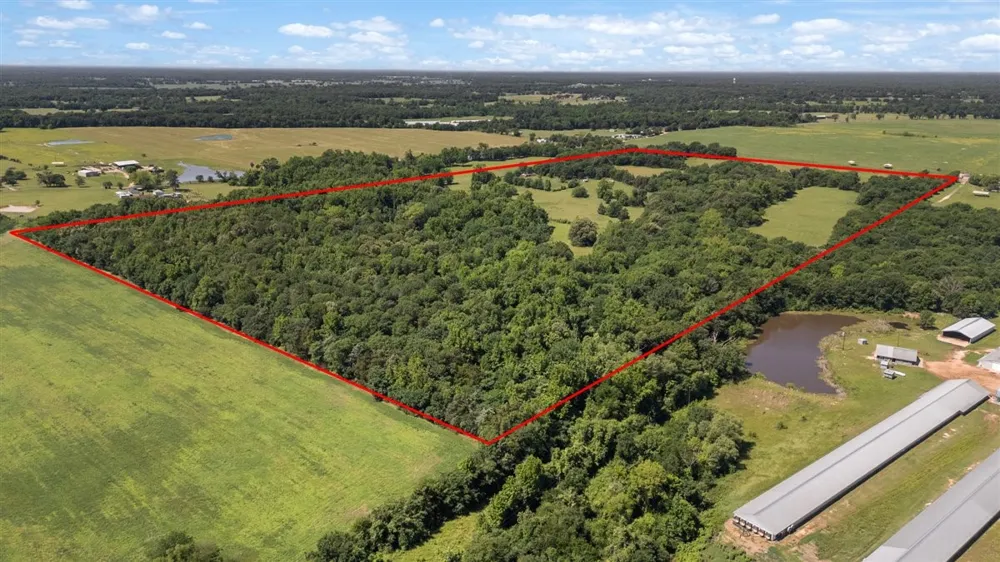 279 County Road 2395 Winnsboro, TX 75494