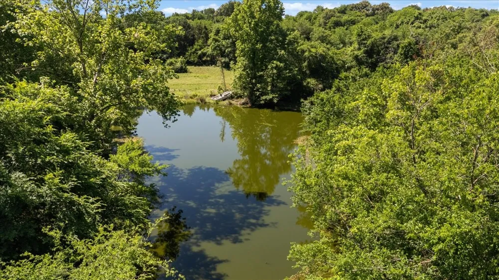 279 County Road 2395 Winnsboro, TX 75494
