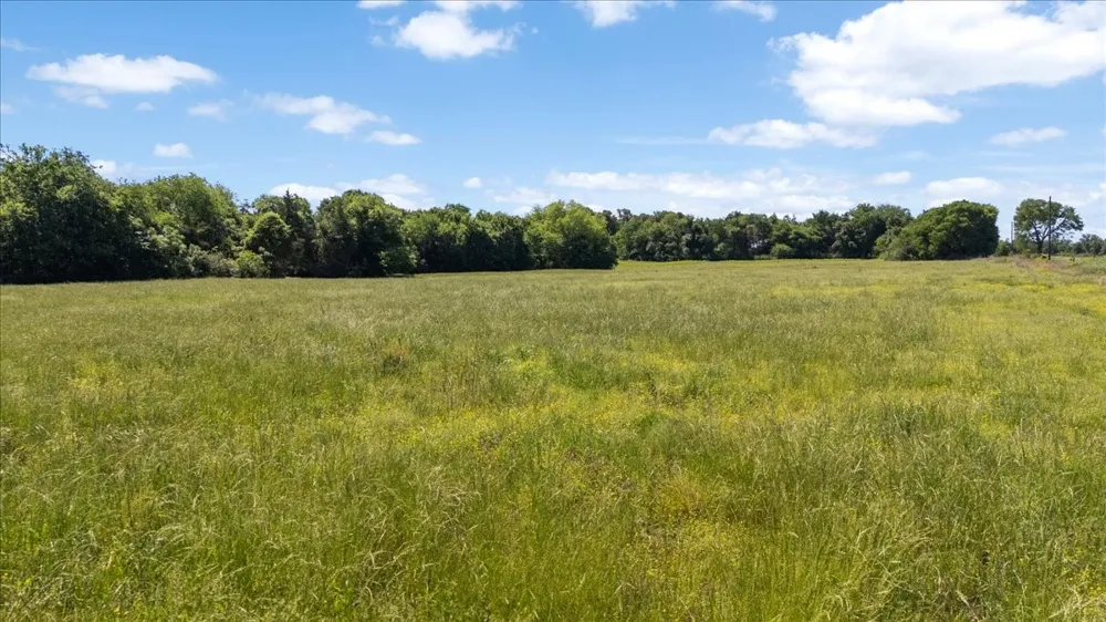 279 County Road 2395 Winnsboro, TX 75494