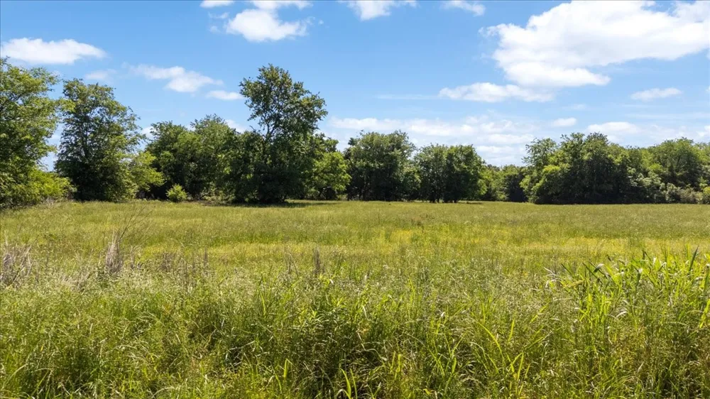 279 County Road 2395 Winnsboro, TX 75494