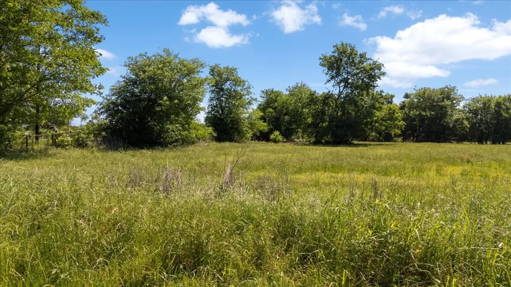 279 County Road 2395 Winnsboro, TX 75494