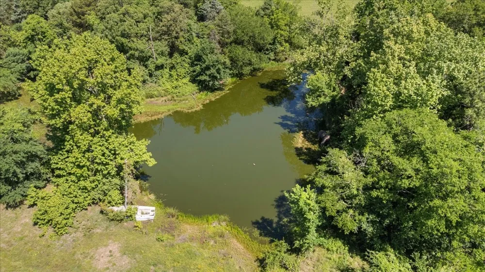 279 County Road 2395 Winnsboro, TX 75494