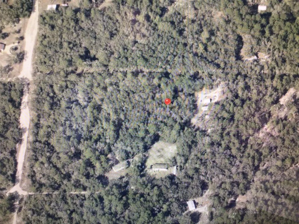 0 SW 156 PLACE Dunnellon, FL 34432