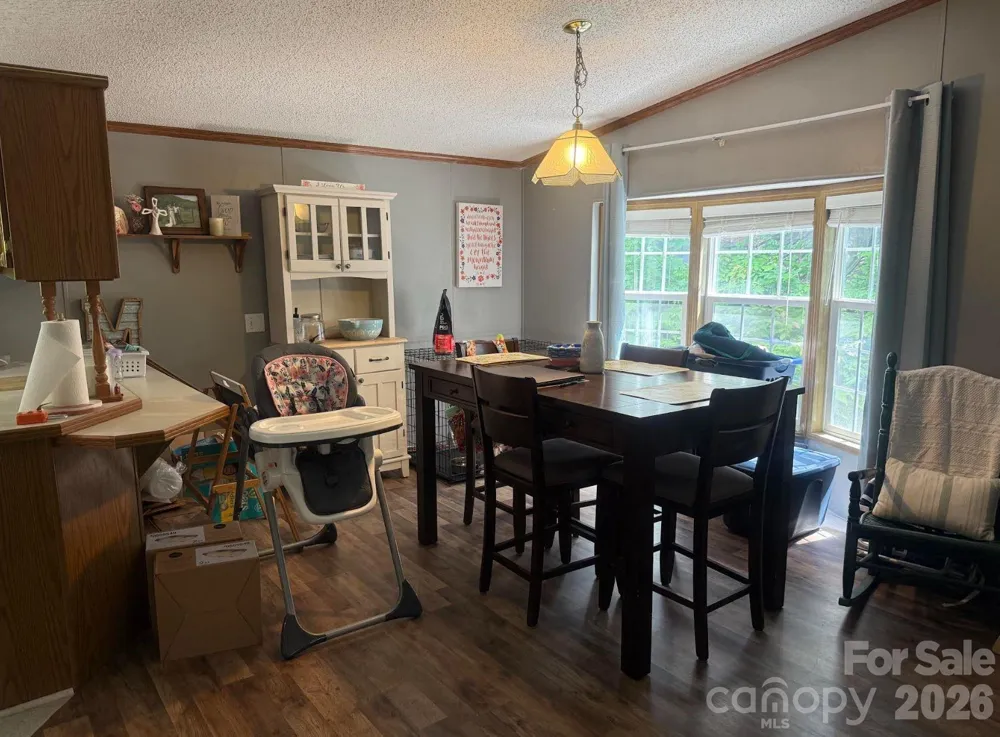 811 Turkey Pen Gap Road Horse Shoe, NC 28742