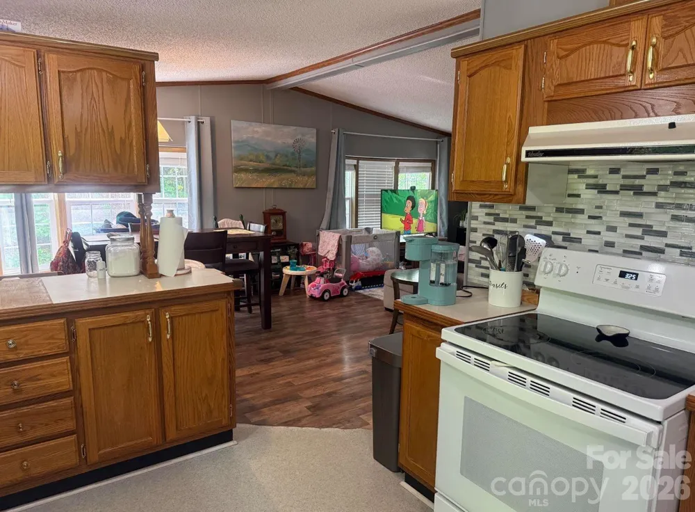 811 Turkey Pen Gap Road Horse Shoe, NC 28742