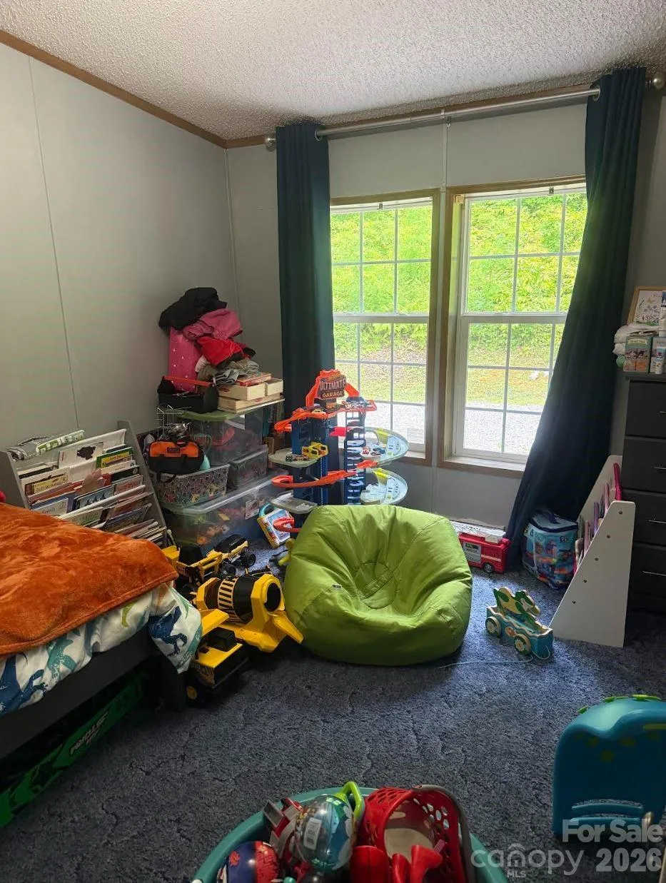 811 Turkey Pen Gap Road Horse Shoe, NC 28742