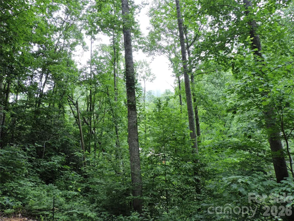 963 Melton Branch Road Bakersville, NC 28705
