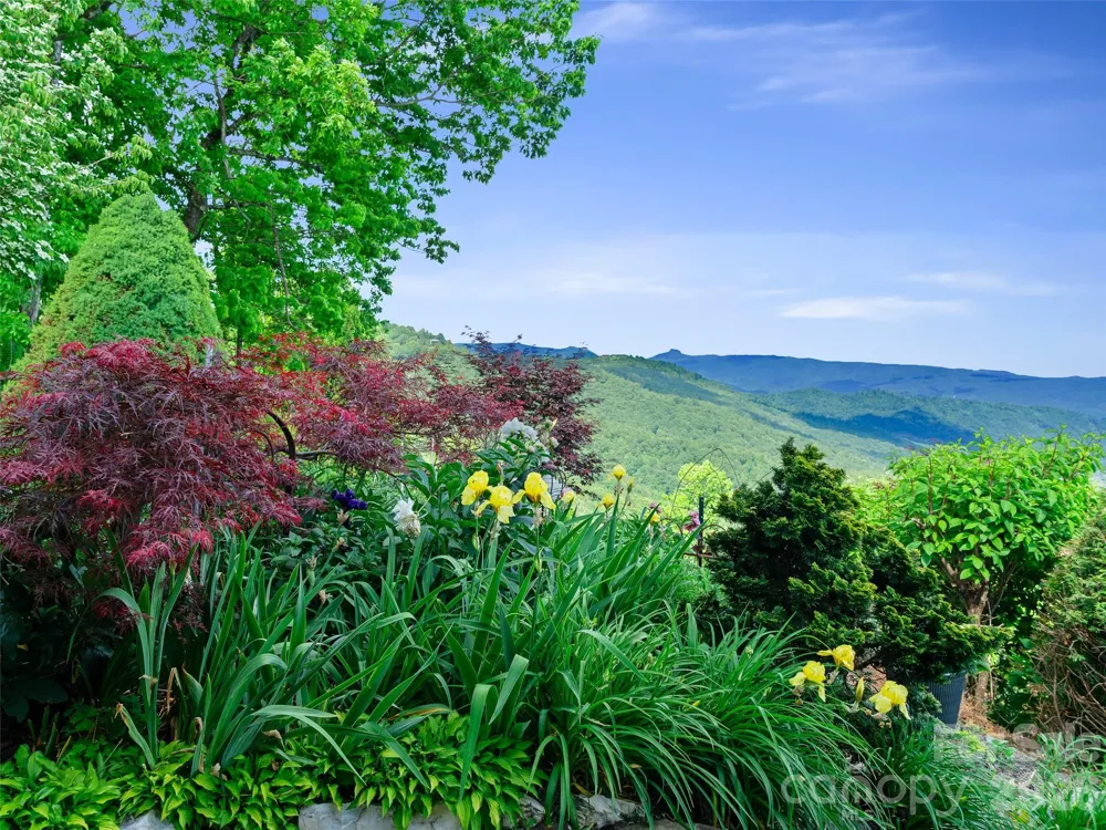 729 Bear Wallow Road Little Switzerland, NC 28749