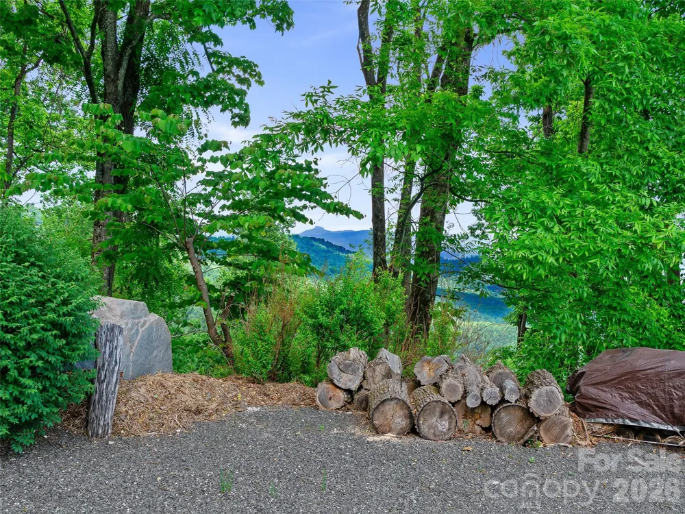 729 Bear Wallow Road Little Switzerland, NC 28749