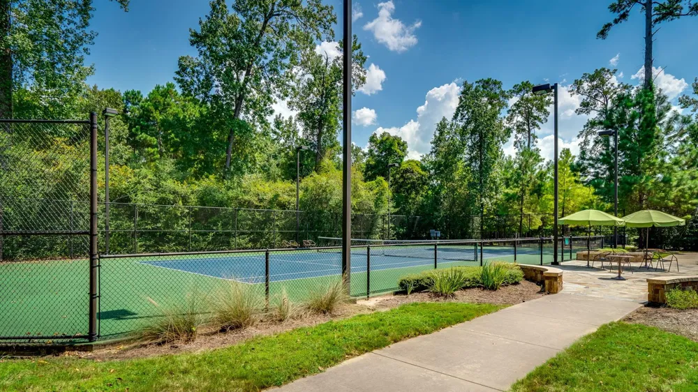 7 Primm Valley Ct The Woodlands, TX 77389