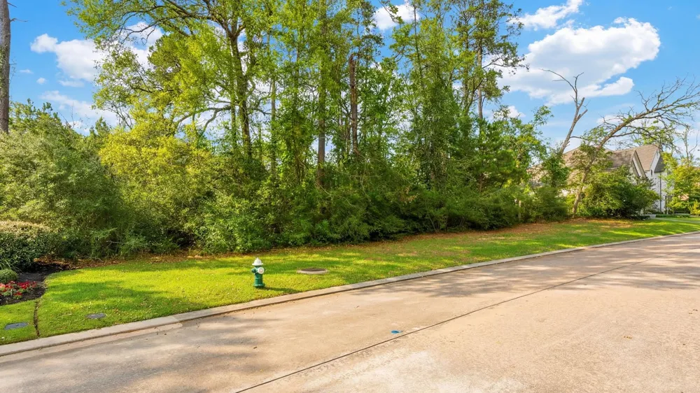 7 Primm Valley Ct The Woodlands, TX 77389