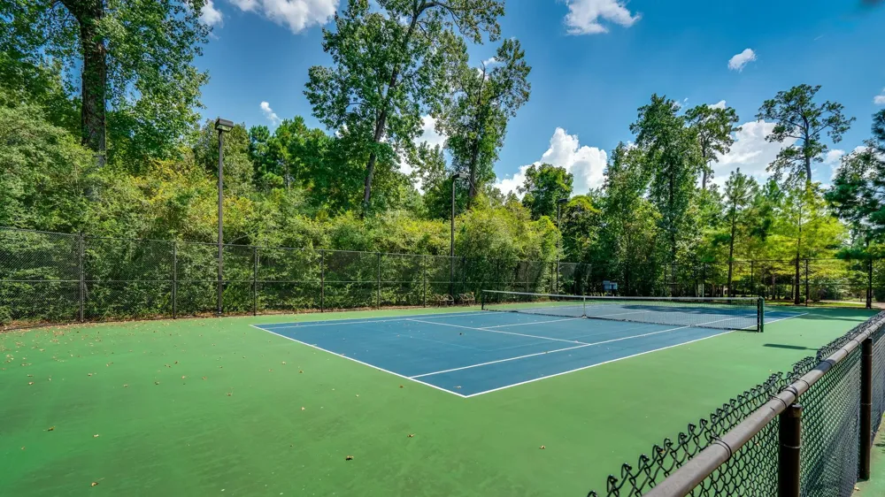 7 Primm Valley Ct The Woodlands, TX 77389