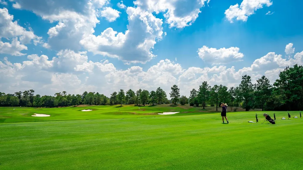 7 Primm Valley Ct The Woodlands, TX 77389