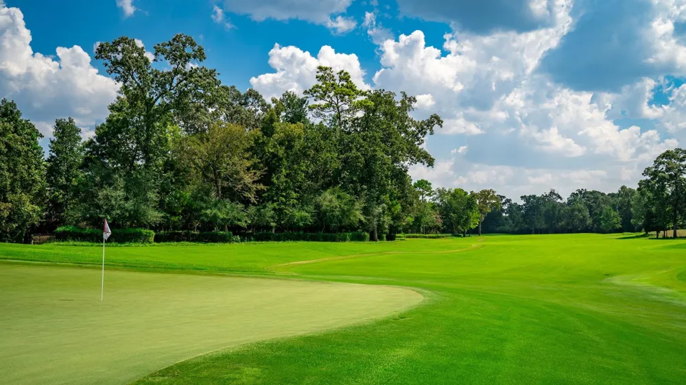 7 Primm Valley Ct The Woodlands, TX 77389