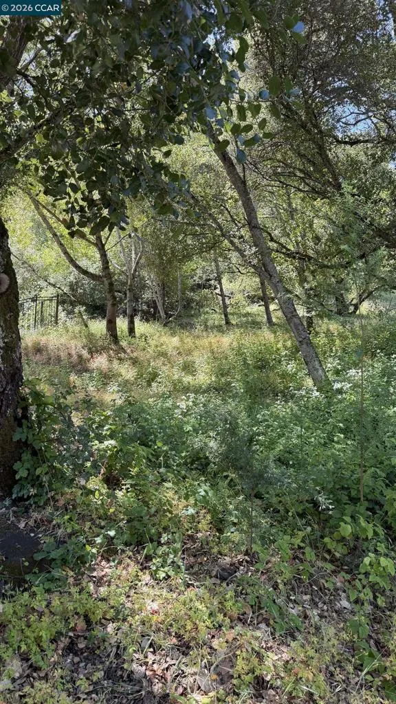 46 Oak Rd Orinda, CA 94563