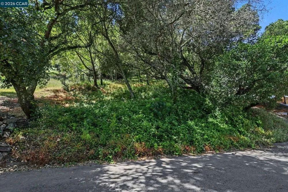 46 Oak Rd Orinda, CA 94563