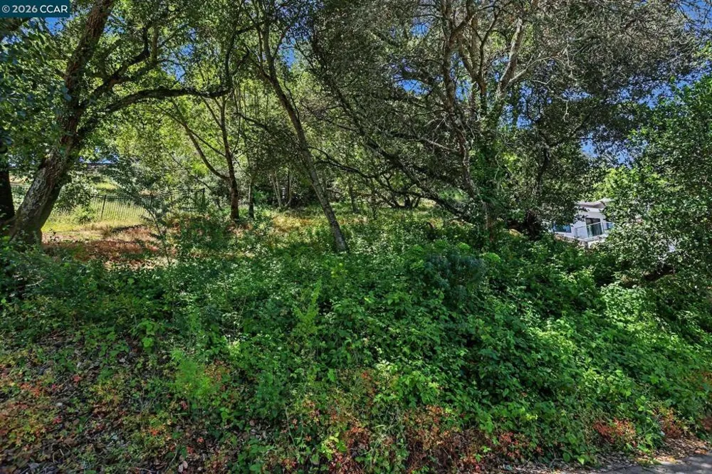 46 Oak Rd Orinda, CA 94563