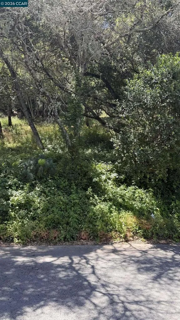 46 Oak Rd Orinda, CA 94563