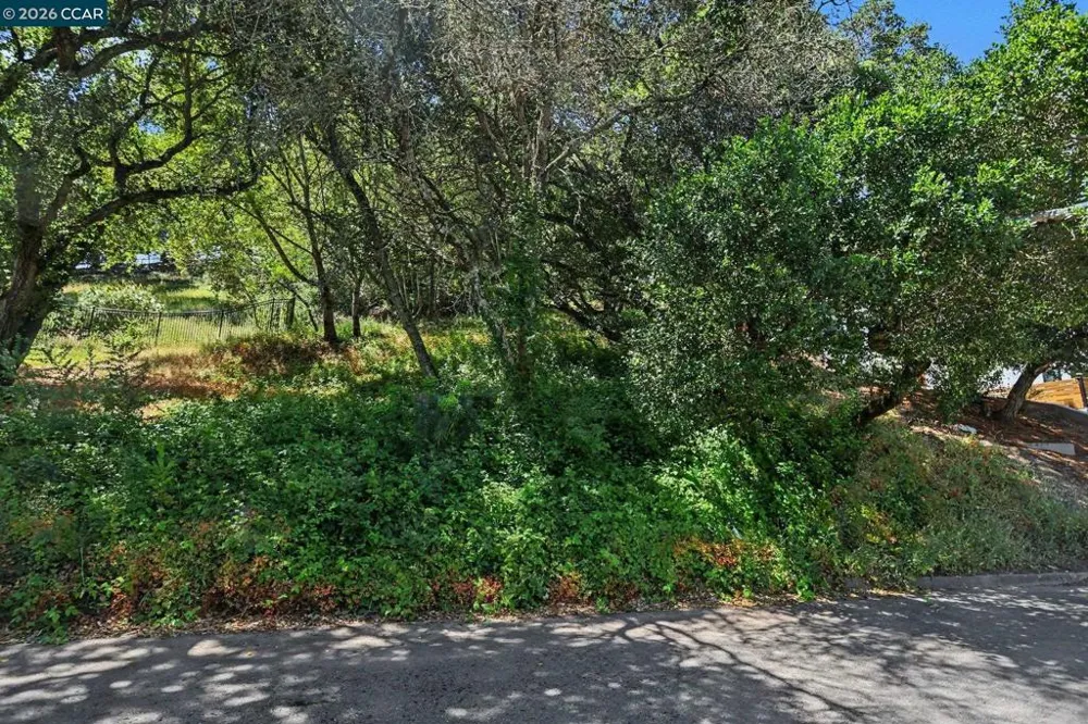 46 Oak Rd Orinda, CA 94563