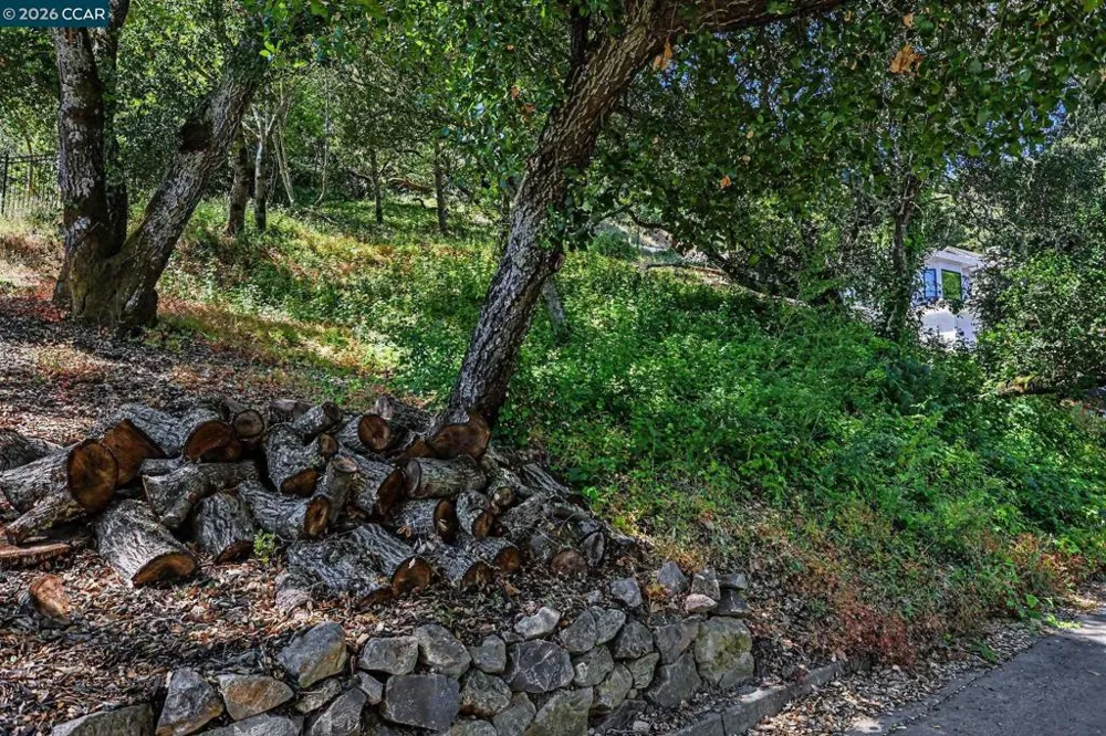 46 Oak Rd Orinda, CA 94563