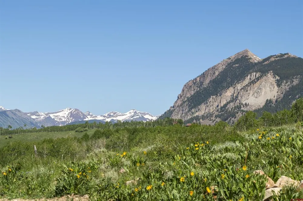 19 Ridge Road Crested Butte, CO 81224