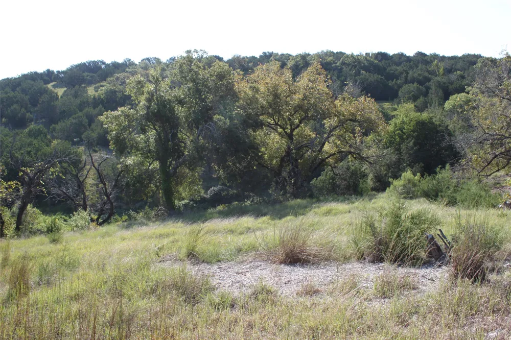 100 Saddle Ridge Drive Bertram, TX 78605