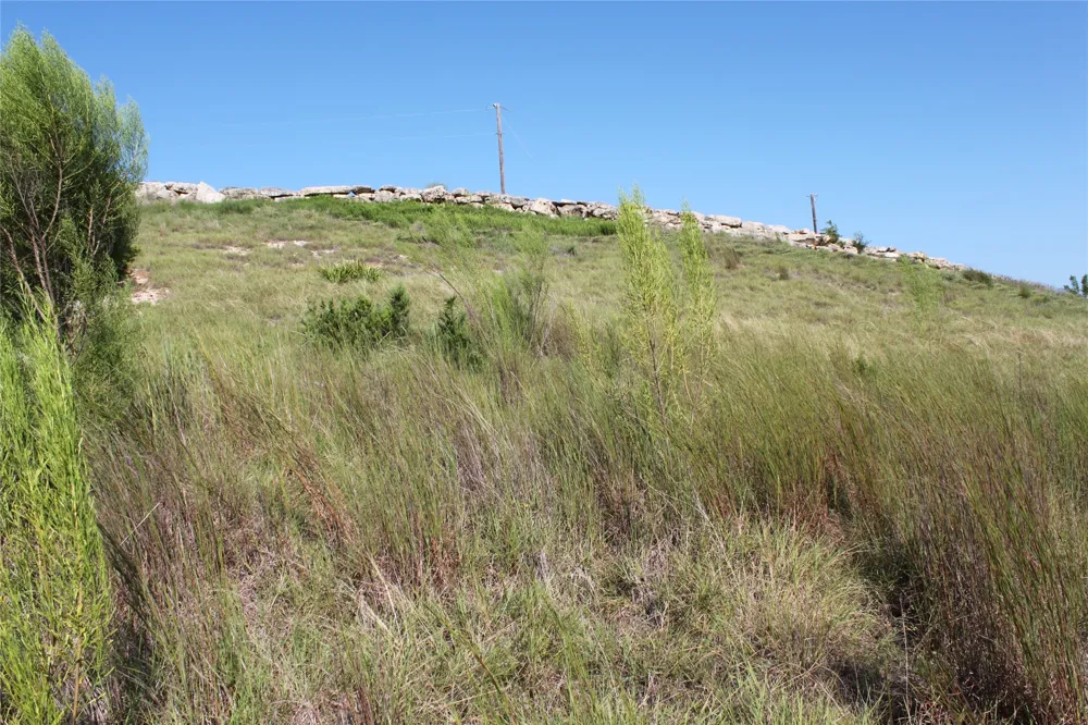 100 Saddle Ridge Drive Bertram, TX 78605