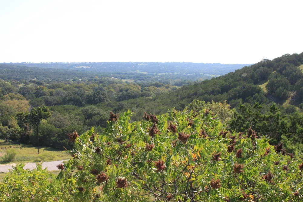 100 Saddle Ridge Drive Bertram, TX 78605