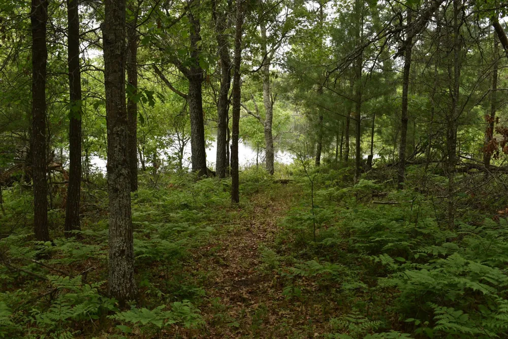 29993 Crystal Lake Drive Danbury, WI 54830
