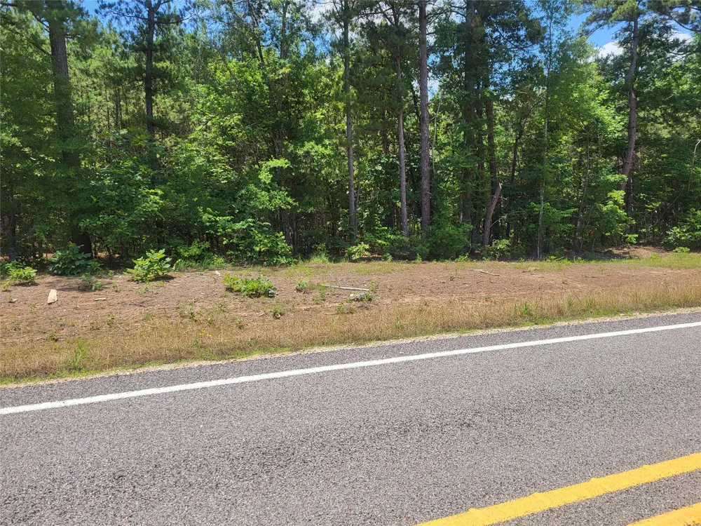 fm 2120 Highway Bagwell, TX 75412