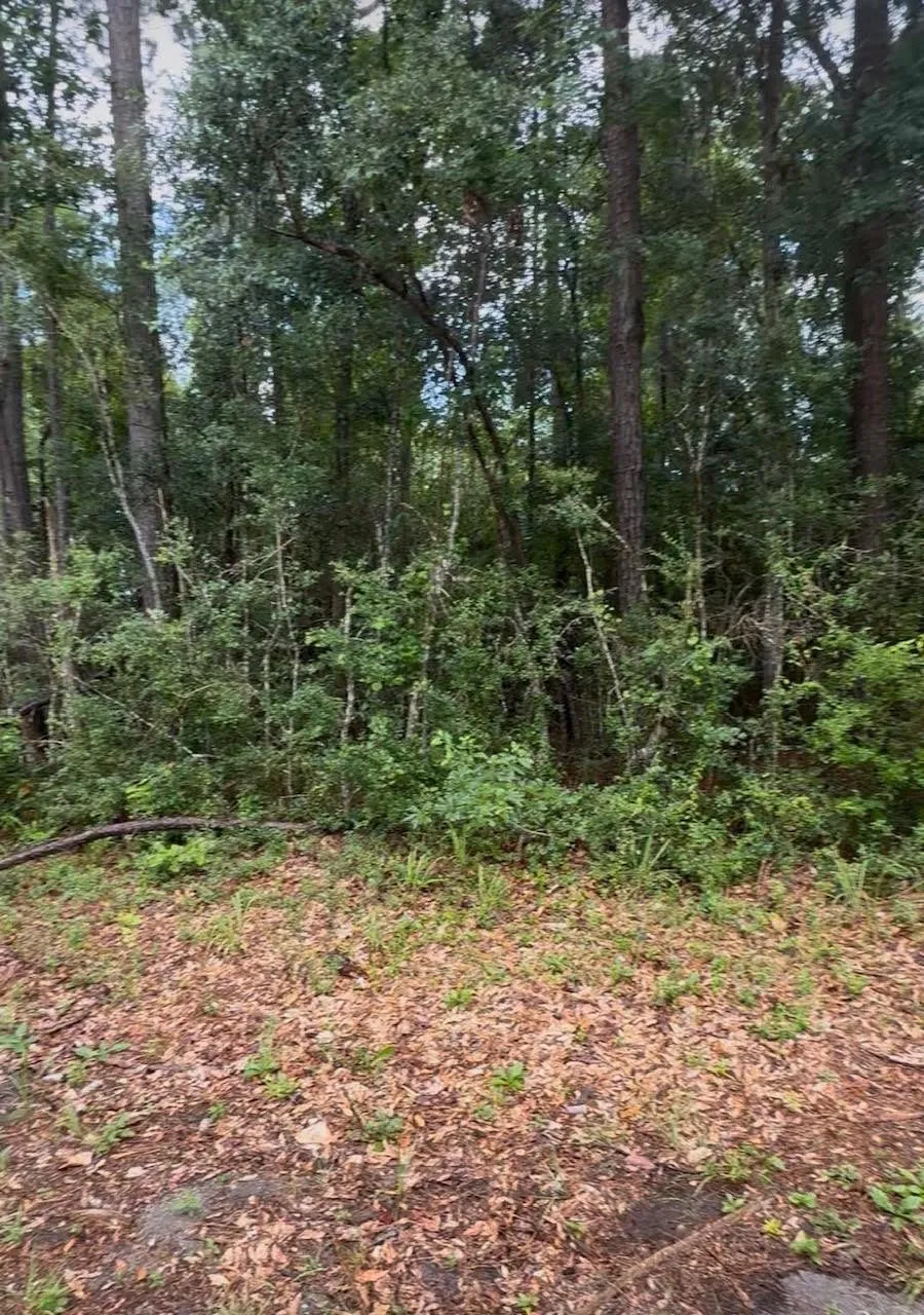 Private Road 6328 Jasper, TX 75951
