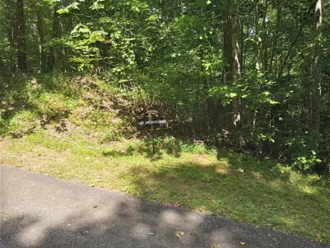 38C Ashe Branch Circle